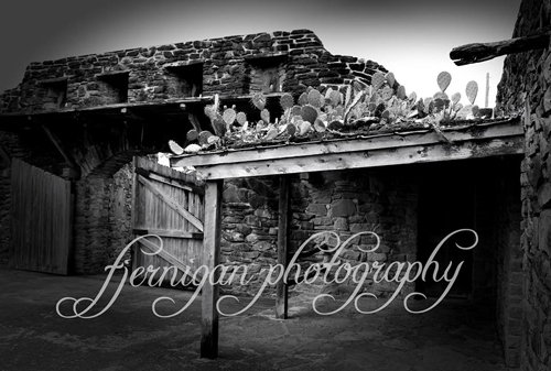 Spotlight on the Arts featuring Farrah Jernigan, Art Photographer