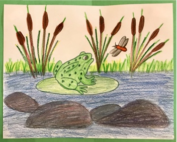 Math, Science, Heath & Environmental Project