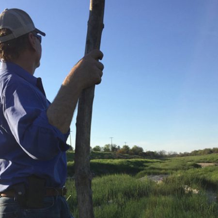 Habitat not forgotten along the Lavaca River