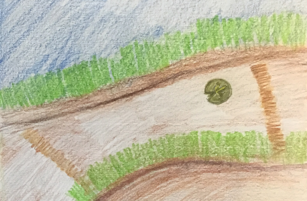 2021 HALLET OAK GALLERY ART CONTEST: “You and Your Waterways” – Hallet ...