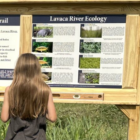 Donate to Hallet Oak Foundation’s Friends of Lavaca River group 