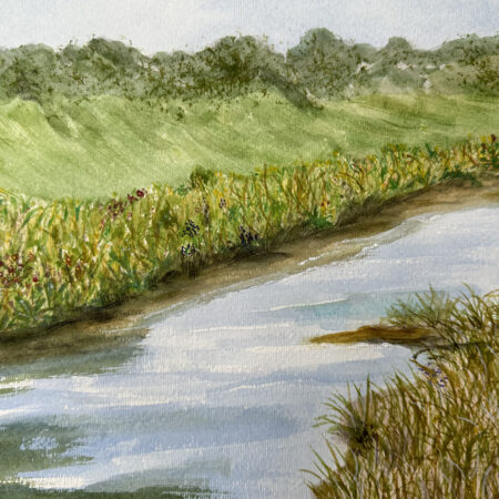 Learn About the  Lavaca County Watershed